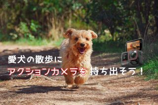 愛犬との散歩をもっと楽しく！アクションカメラで描く感動の瞬間